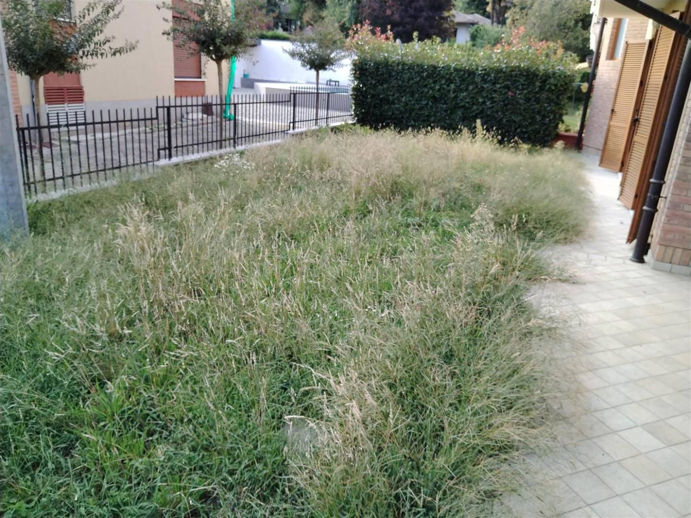 Giardino