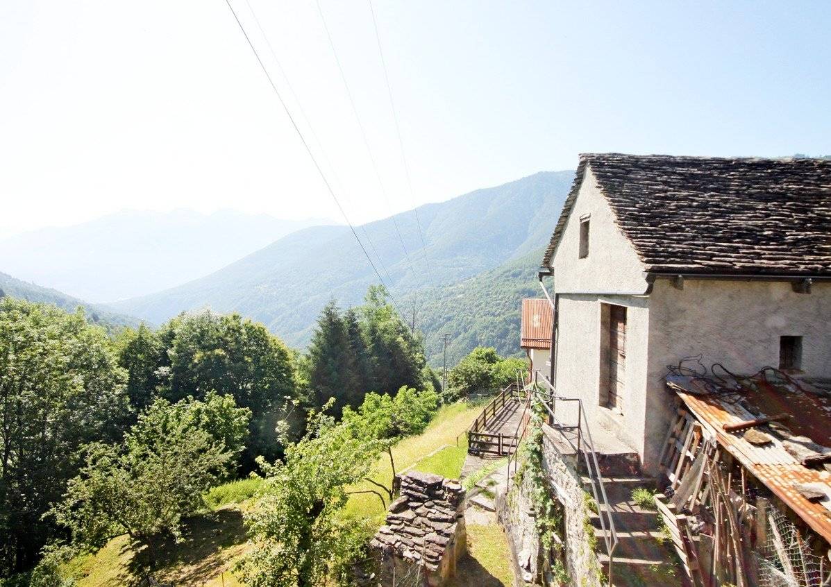 Vista