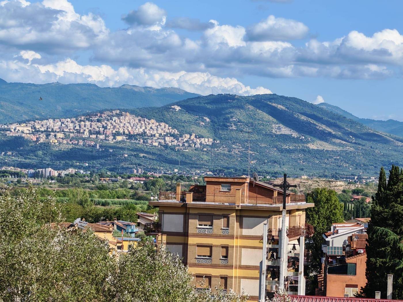 Vista