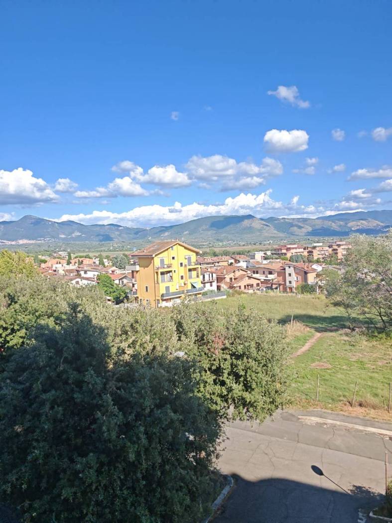 Vista