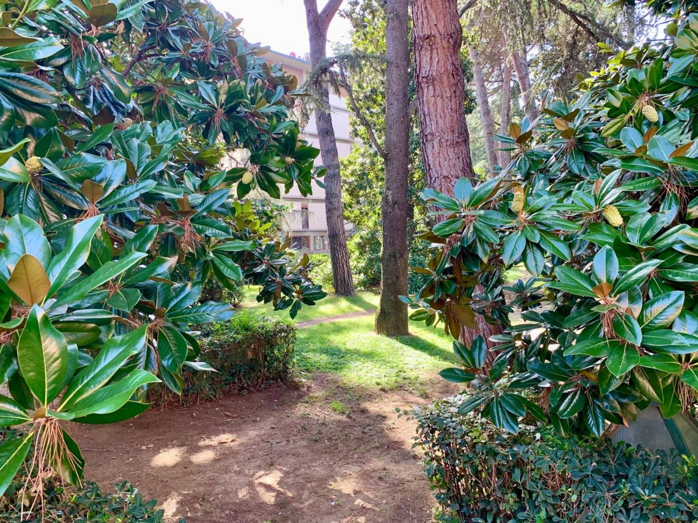 Giardino