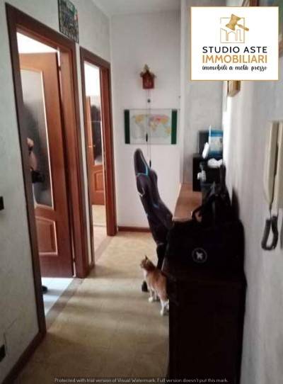 Ingresso
