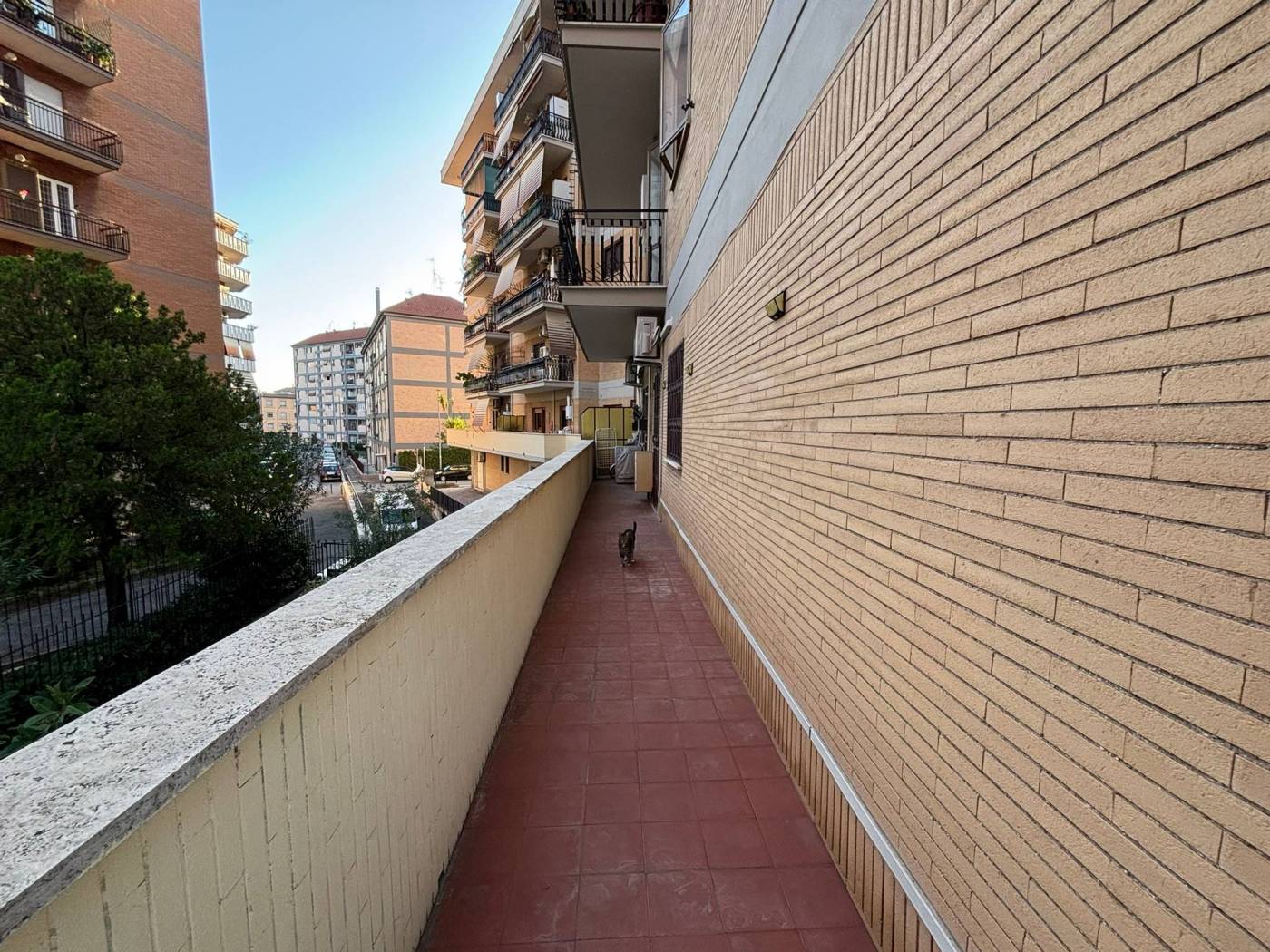 Terrazzo