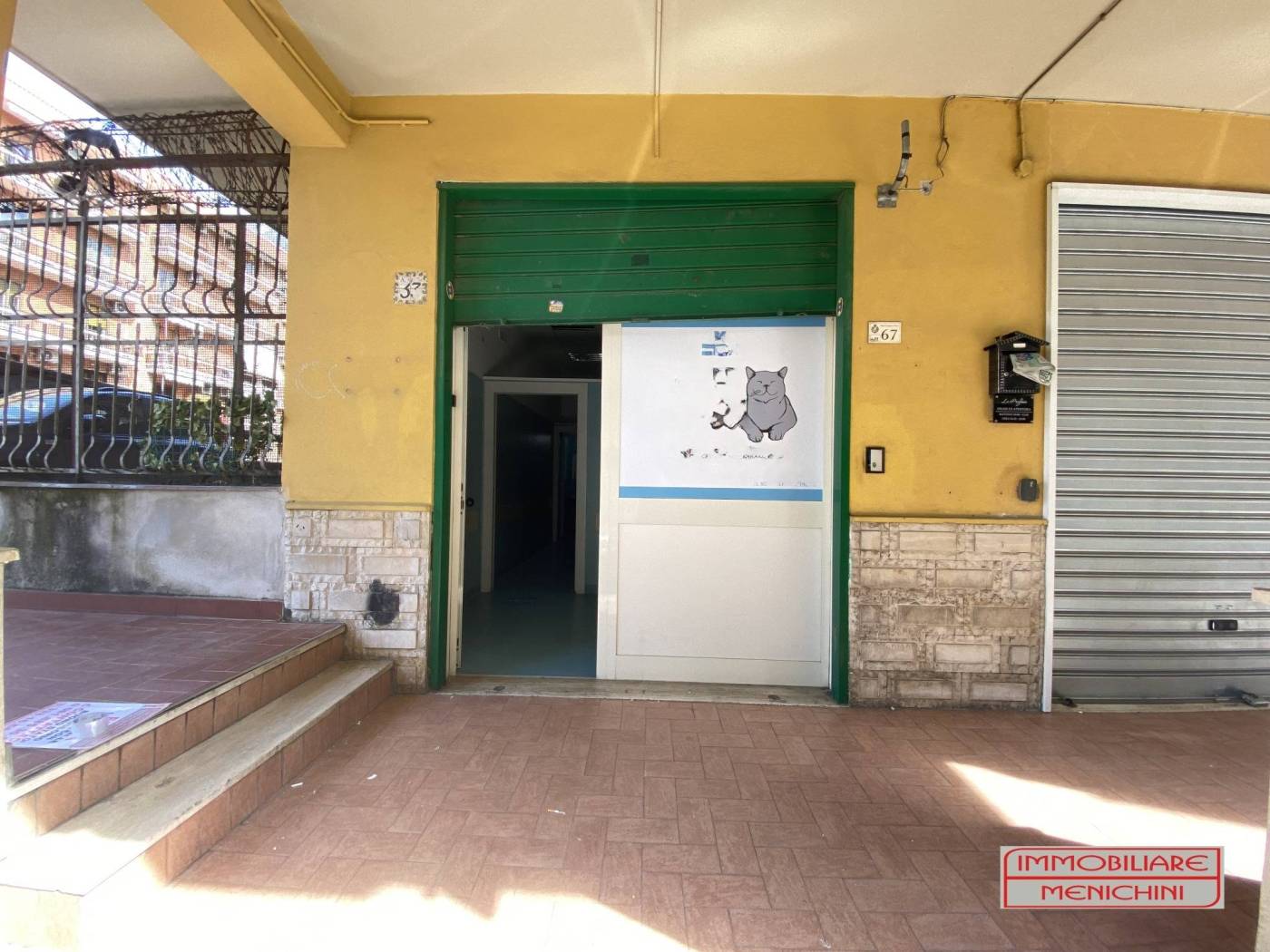 Ingresso