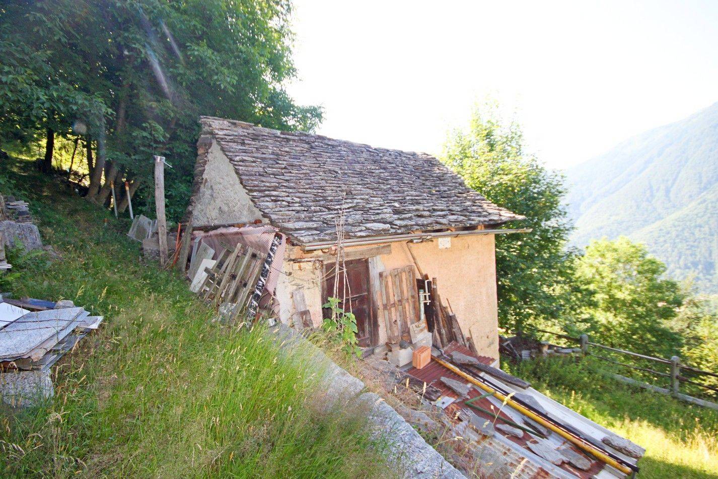 Terreno
