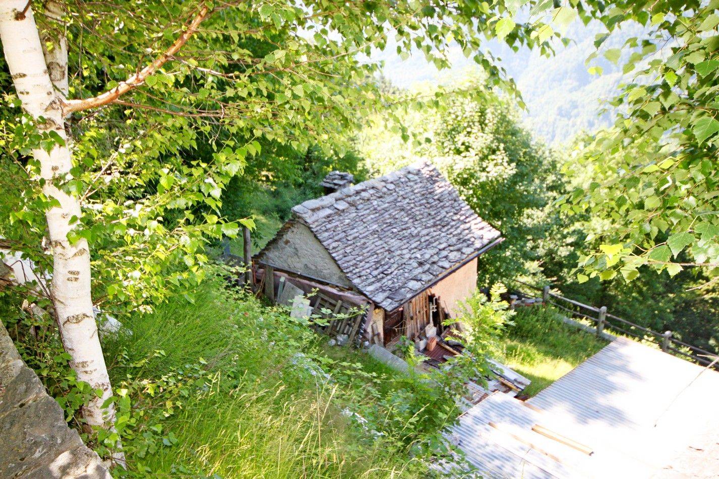 Terreno