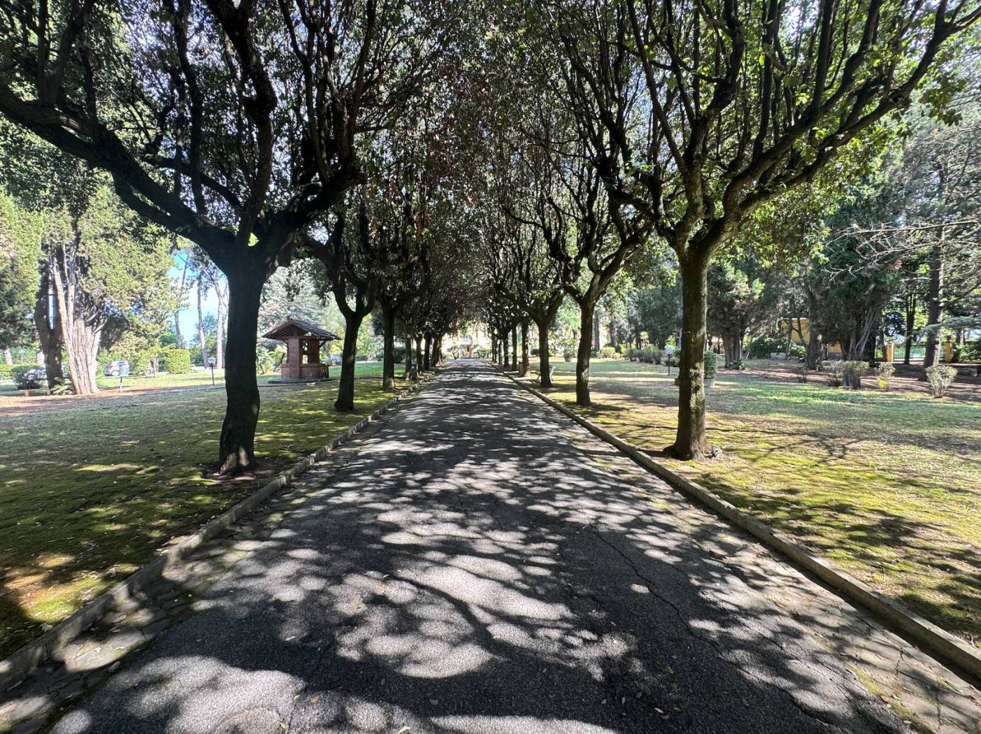 Giardino