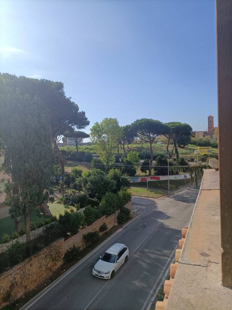 Vista