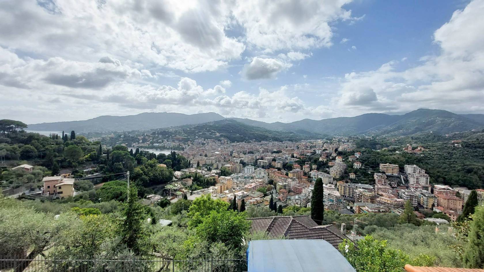 Vista