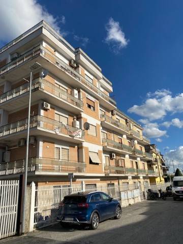ROMA - FideneROMA