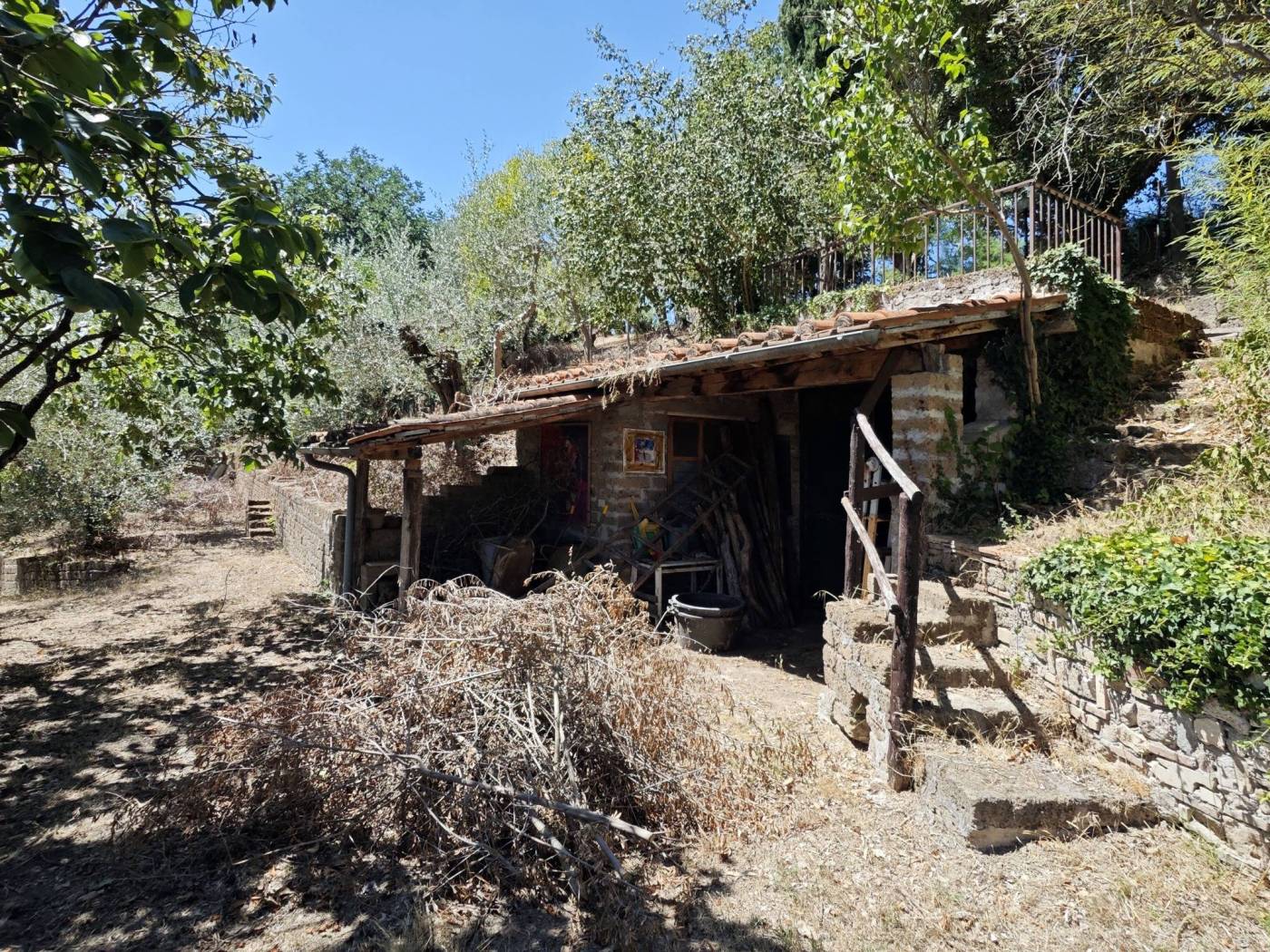 Terreno