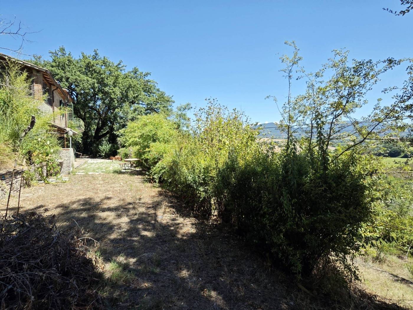 Terreno