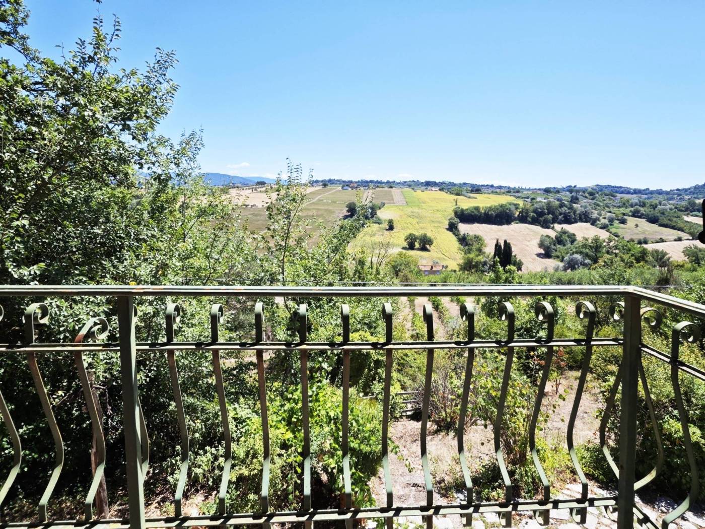 Vista