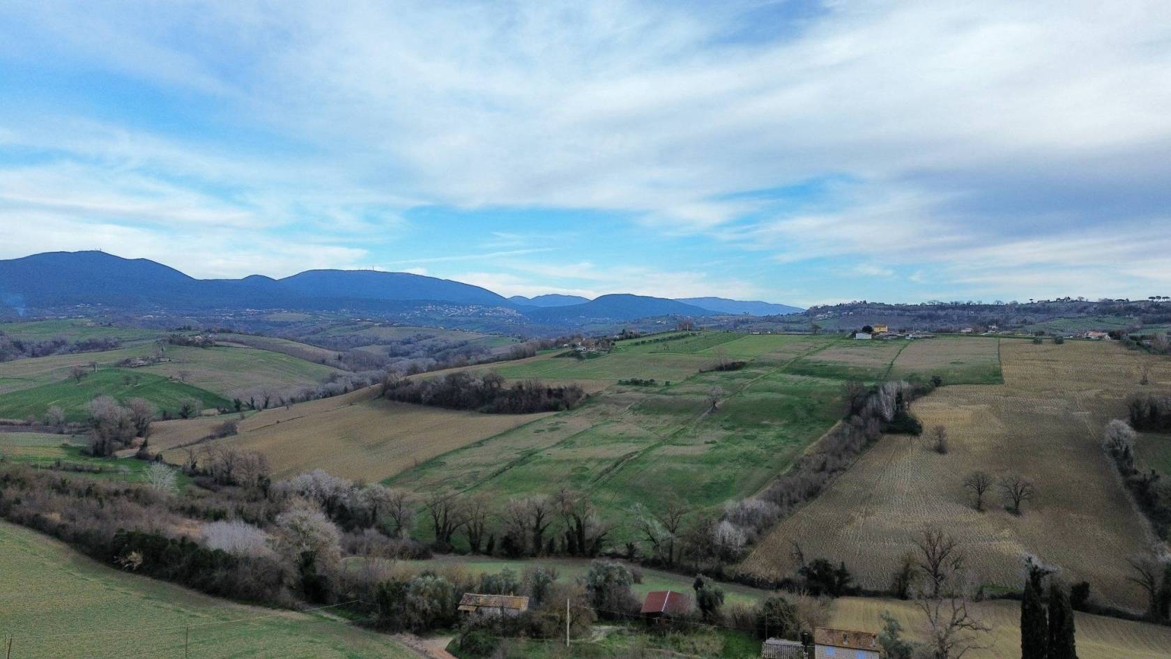 Vista