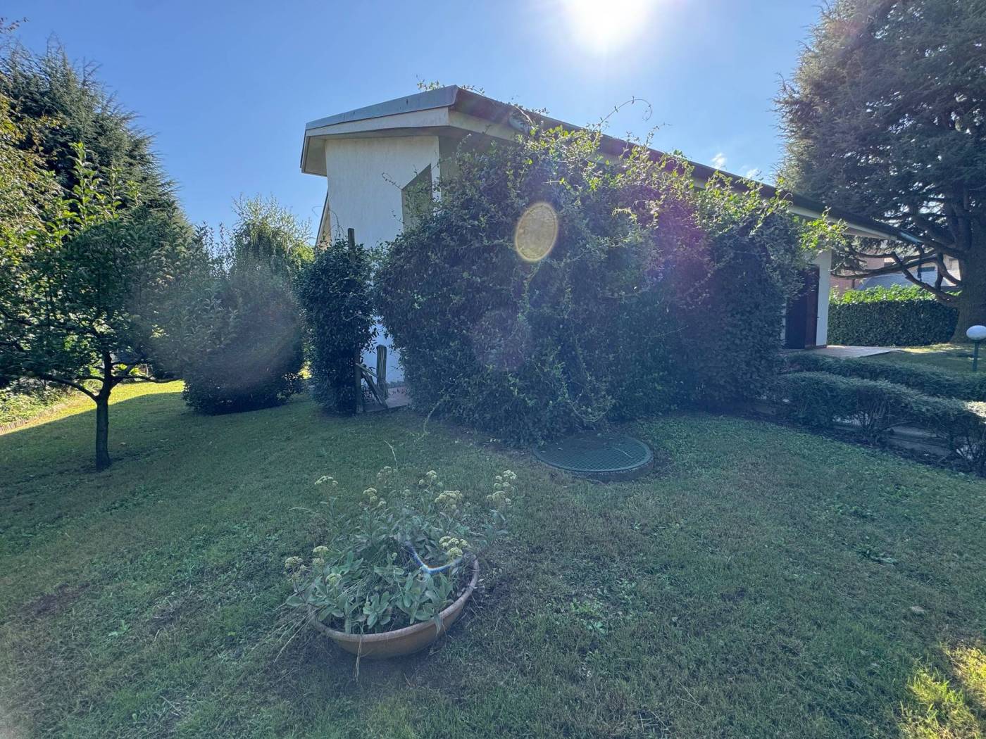 Giardino