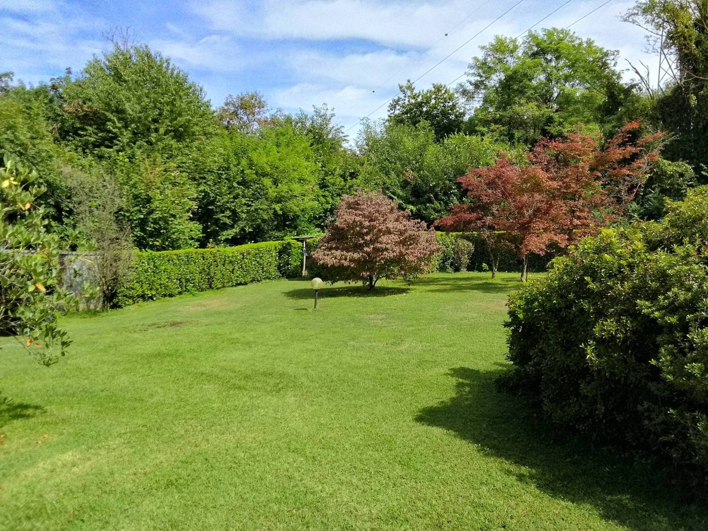 Terreno
