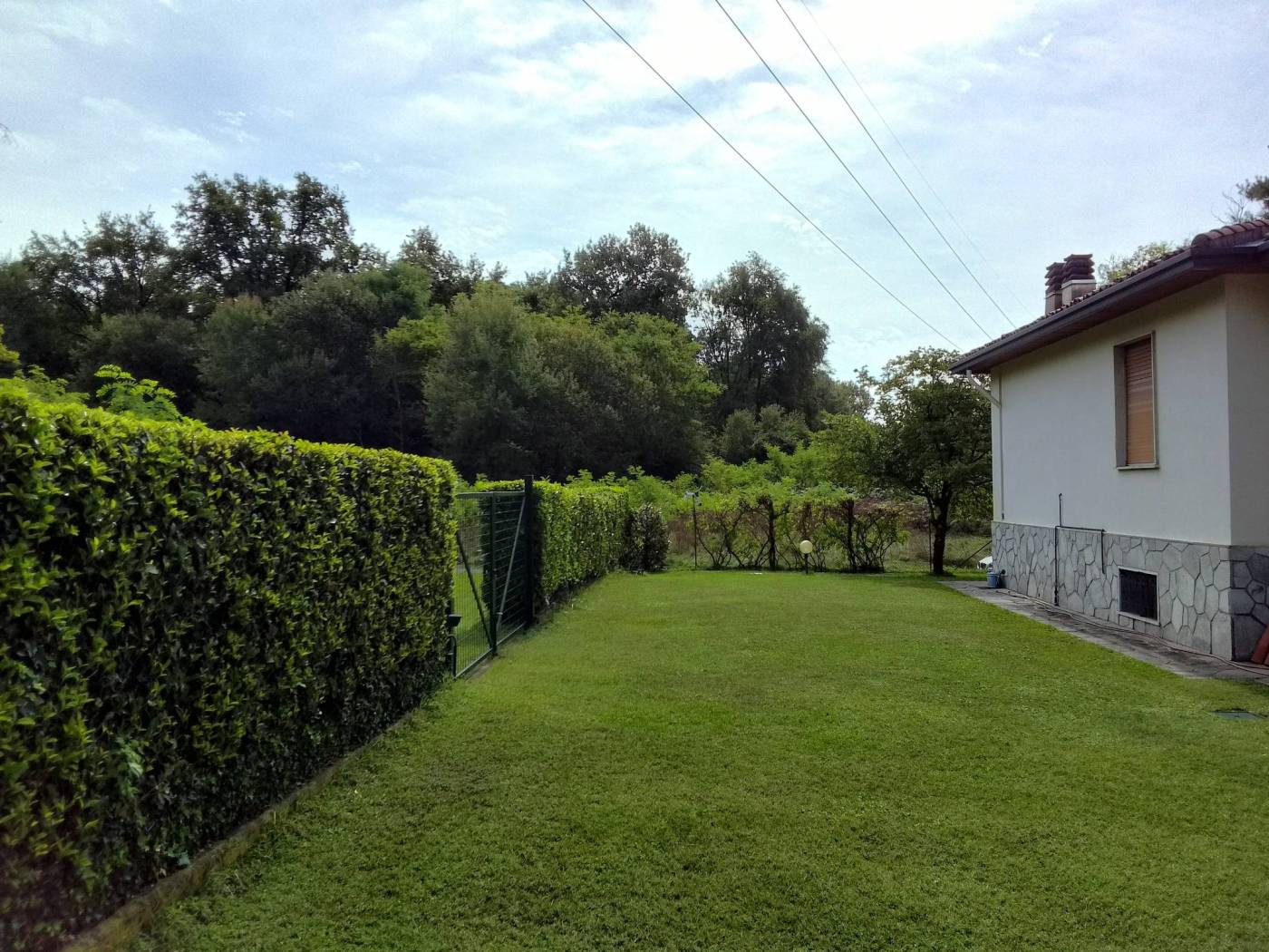 Terreno