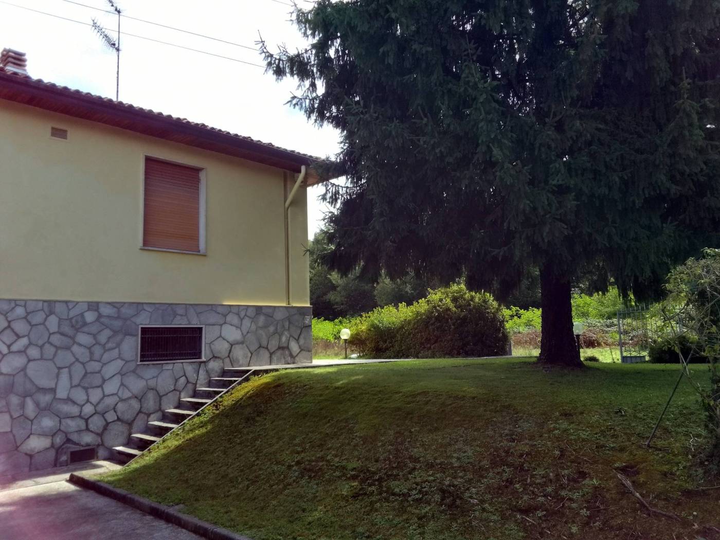 Giardino