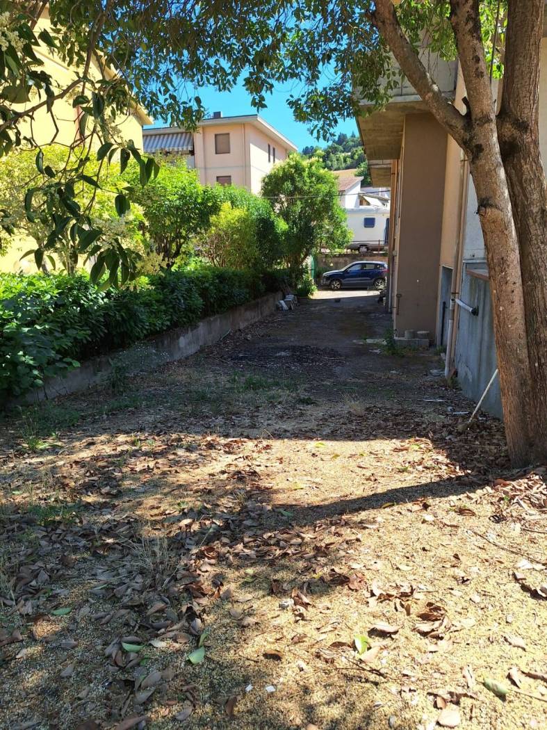 Giardino