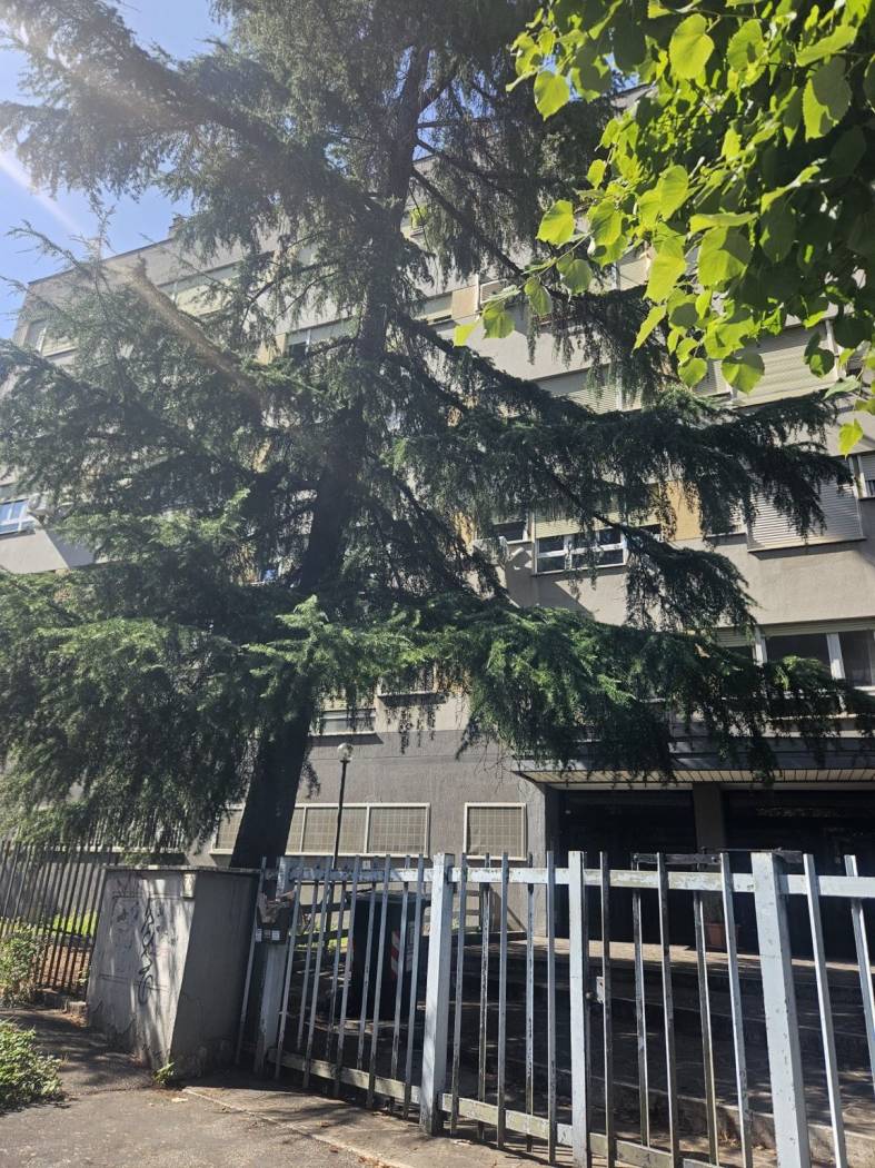 MOSTACCIANO precisamente in Viale Beata vergine del Carmelo, proponiamo la vendita di un appartamento posto al secondo piano totalmente ristrutturato 