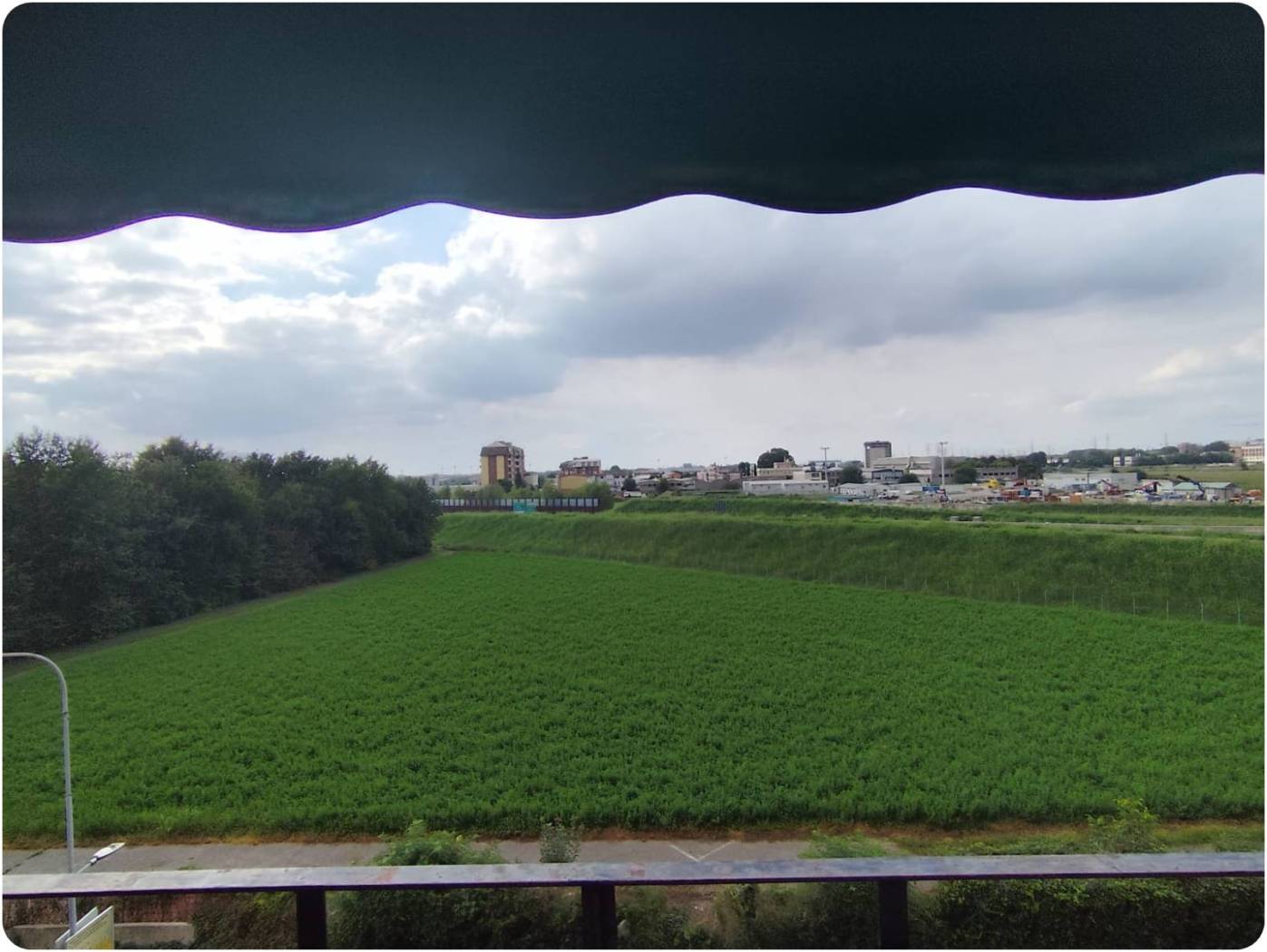 Vista