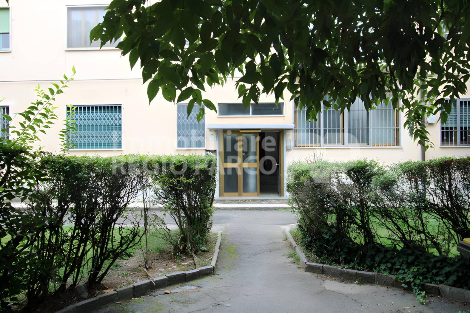 Ingresso