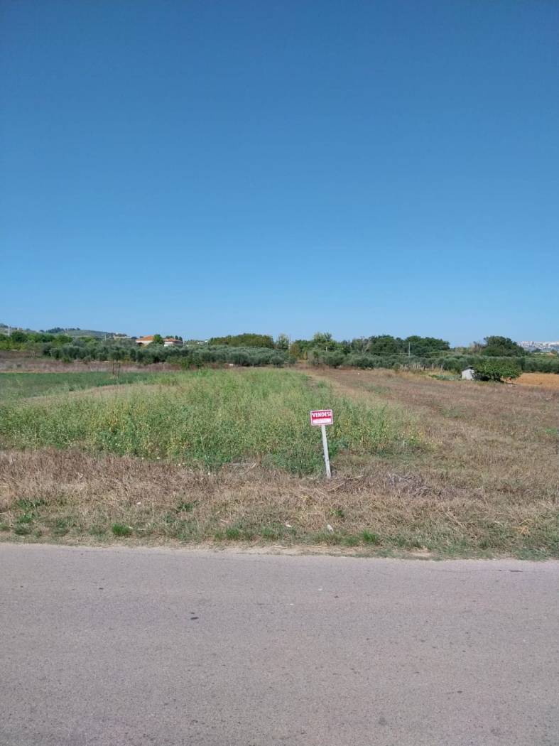 Terreno