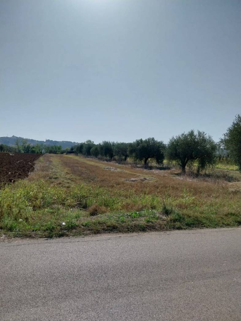 Terreno