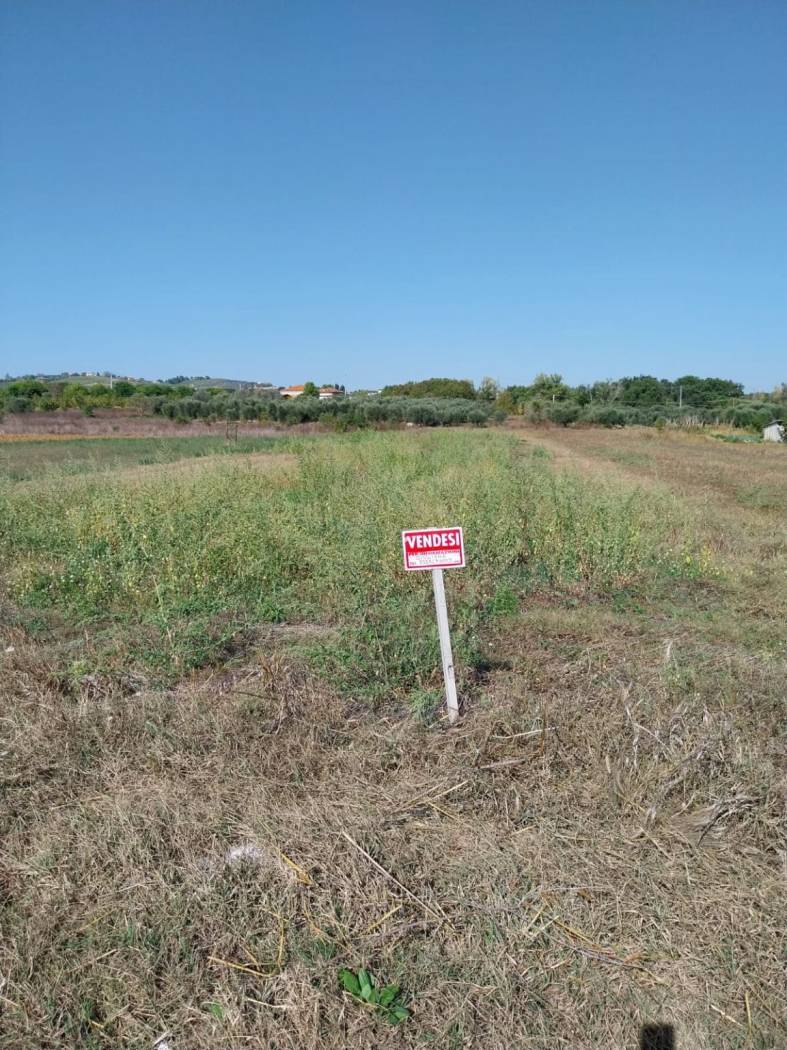 Terreno