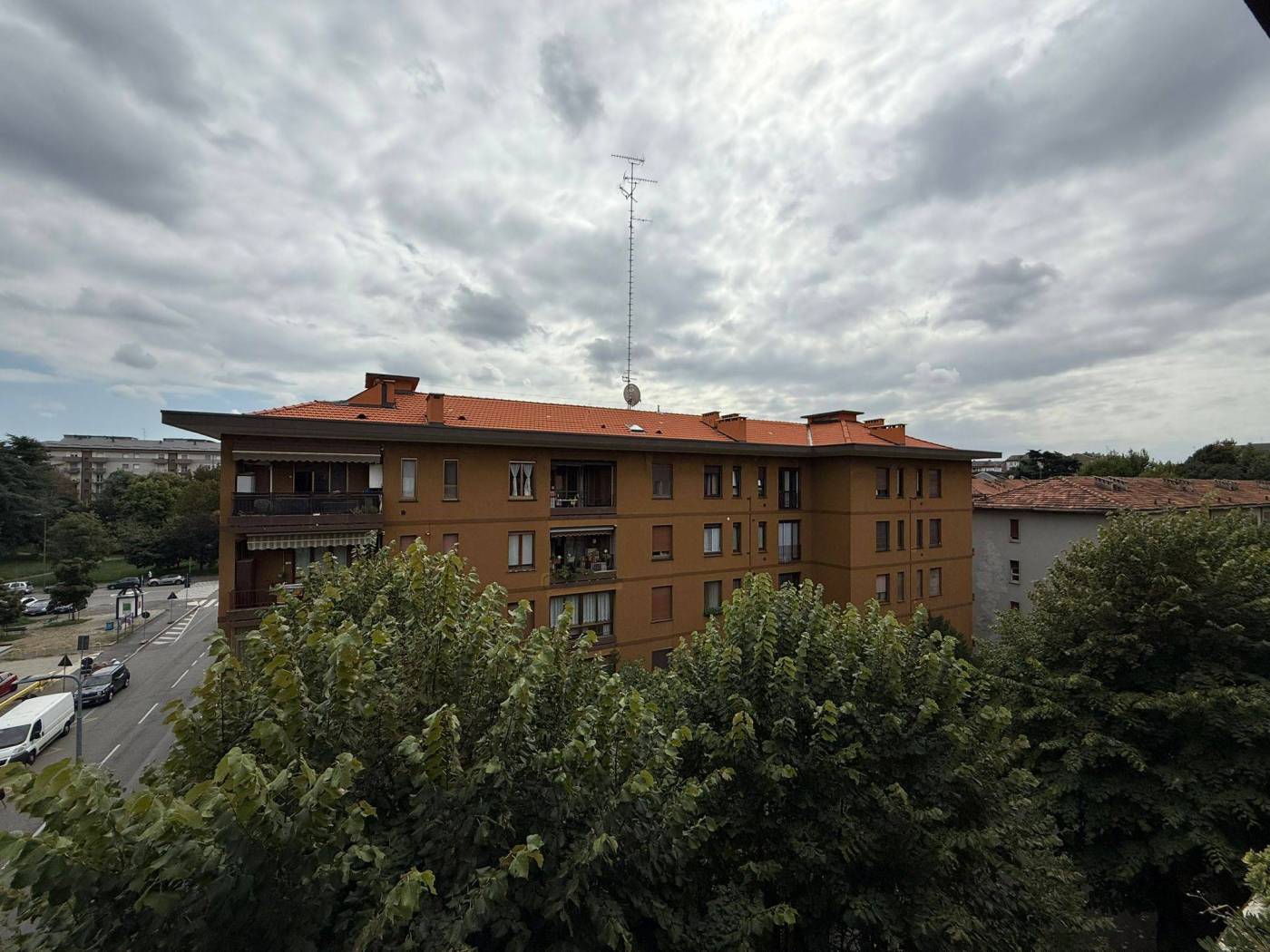 Vista