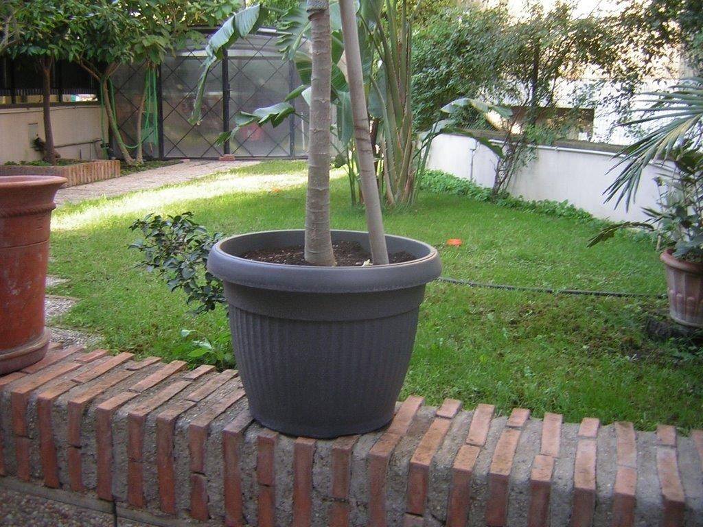 Monteverde Vecchio, nell' alberata via Fratelli Bandiera, proponiamo un luminoso moderno appartamento con giardino privato di 100mq ed ingresso 