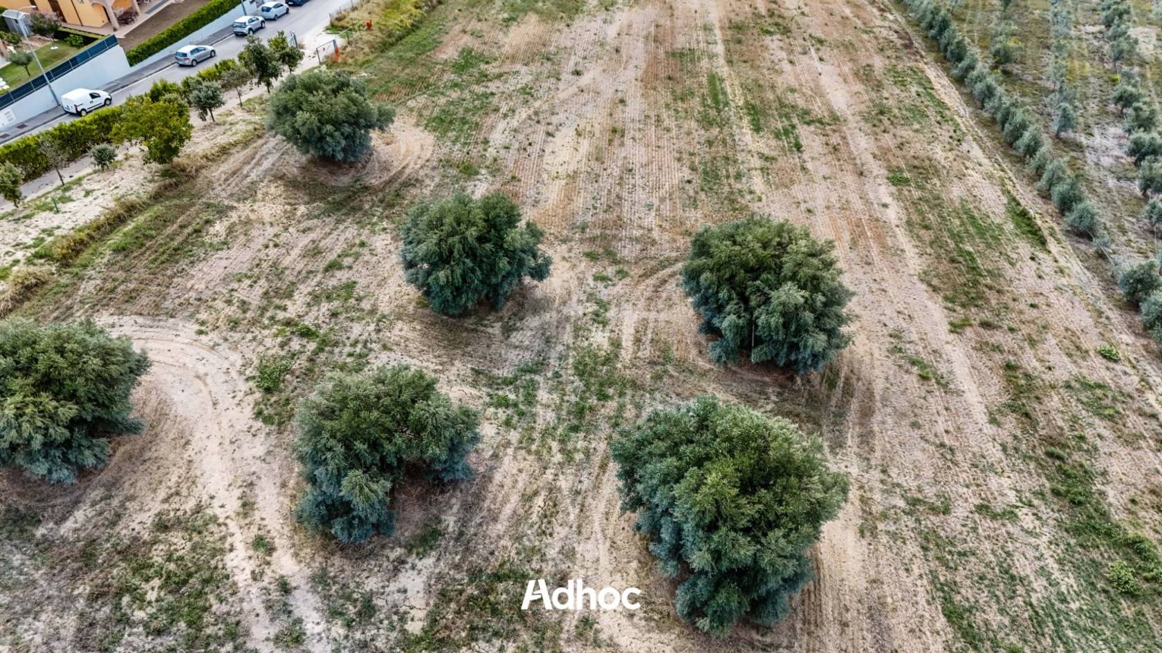 Terreno