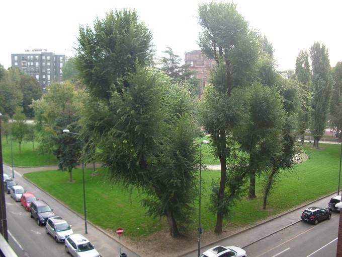Vista