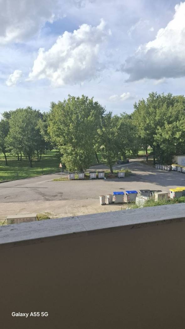 Vista