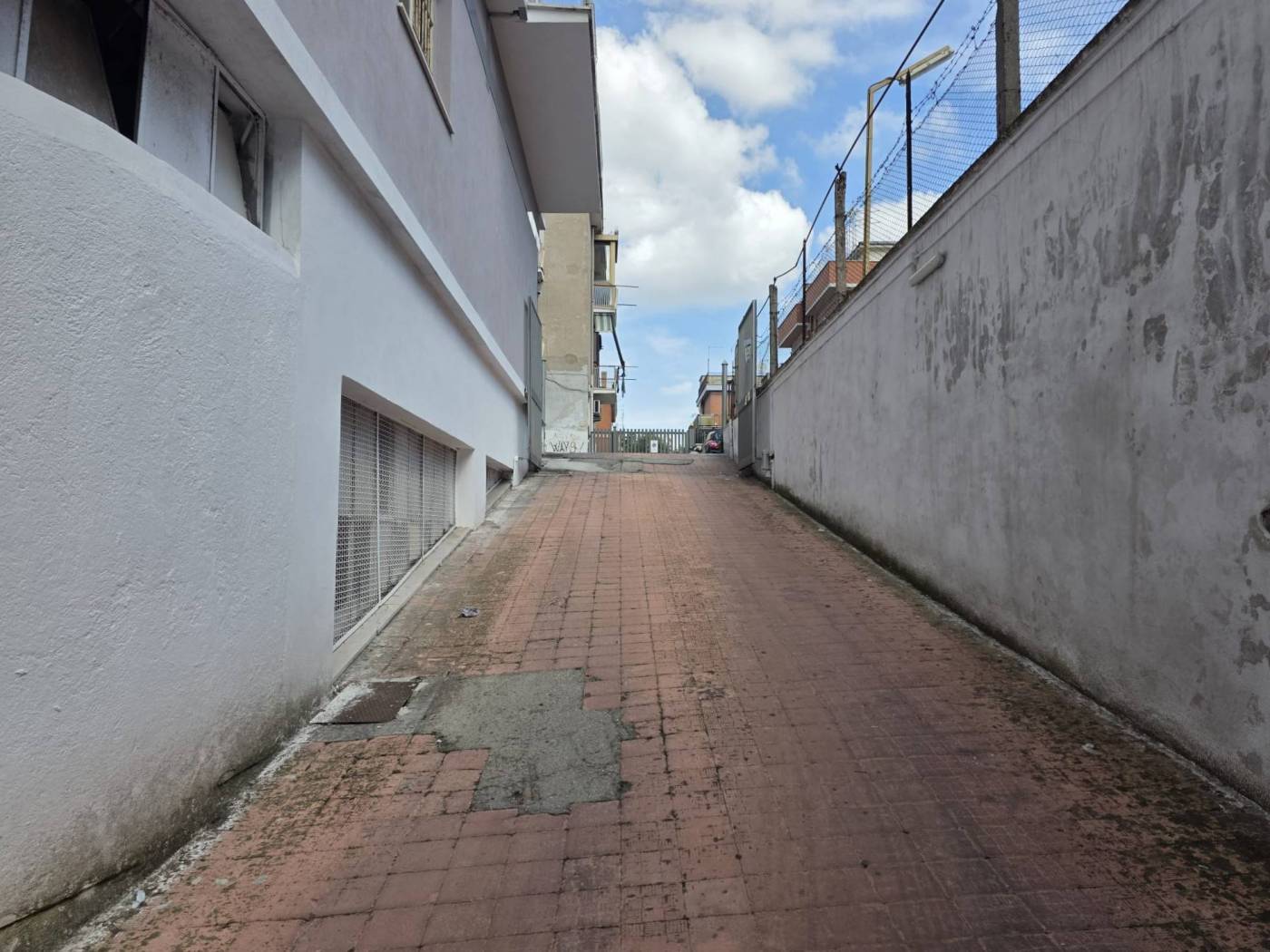 Zona