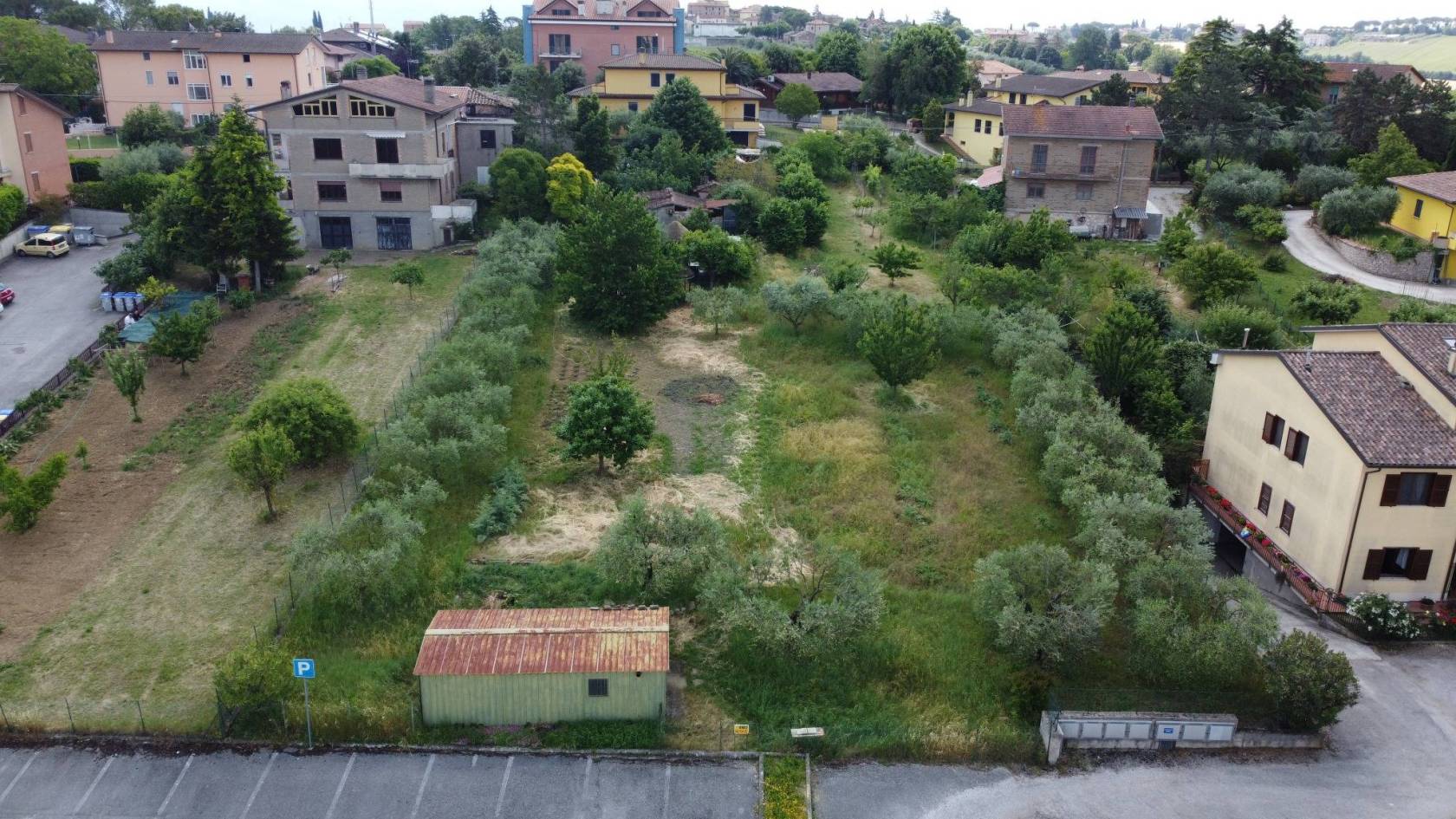 Vista