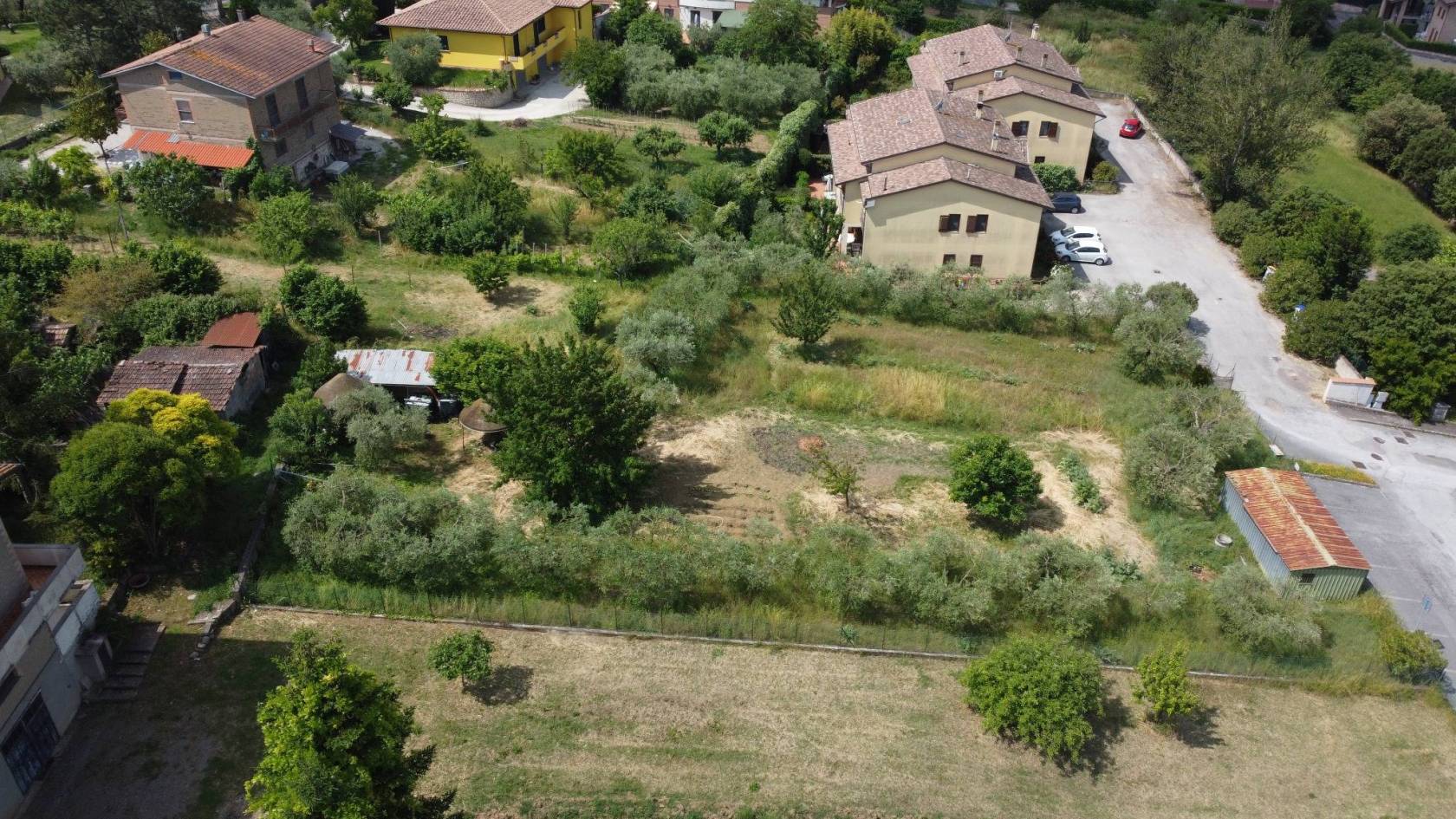 Vista