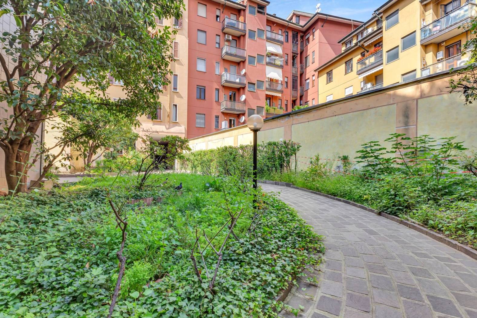 Giardino