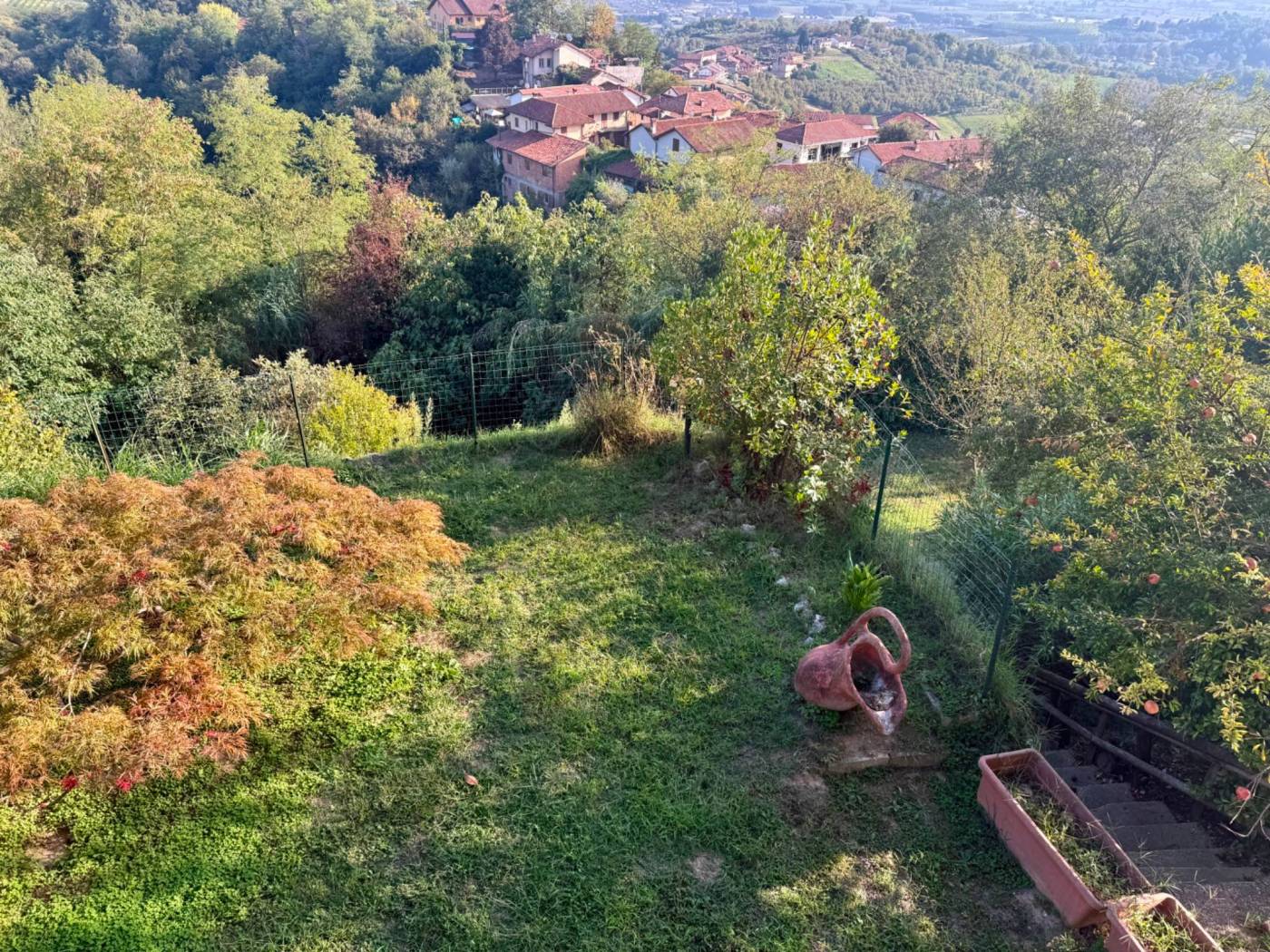 Terreno