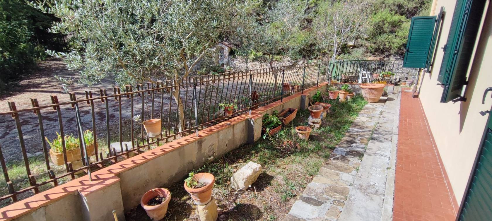 Giardino