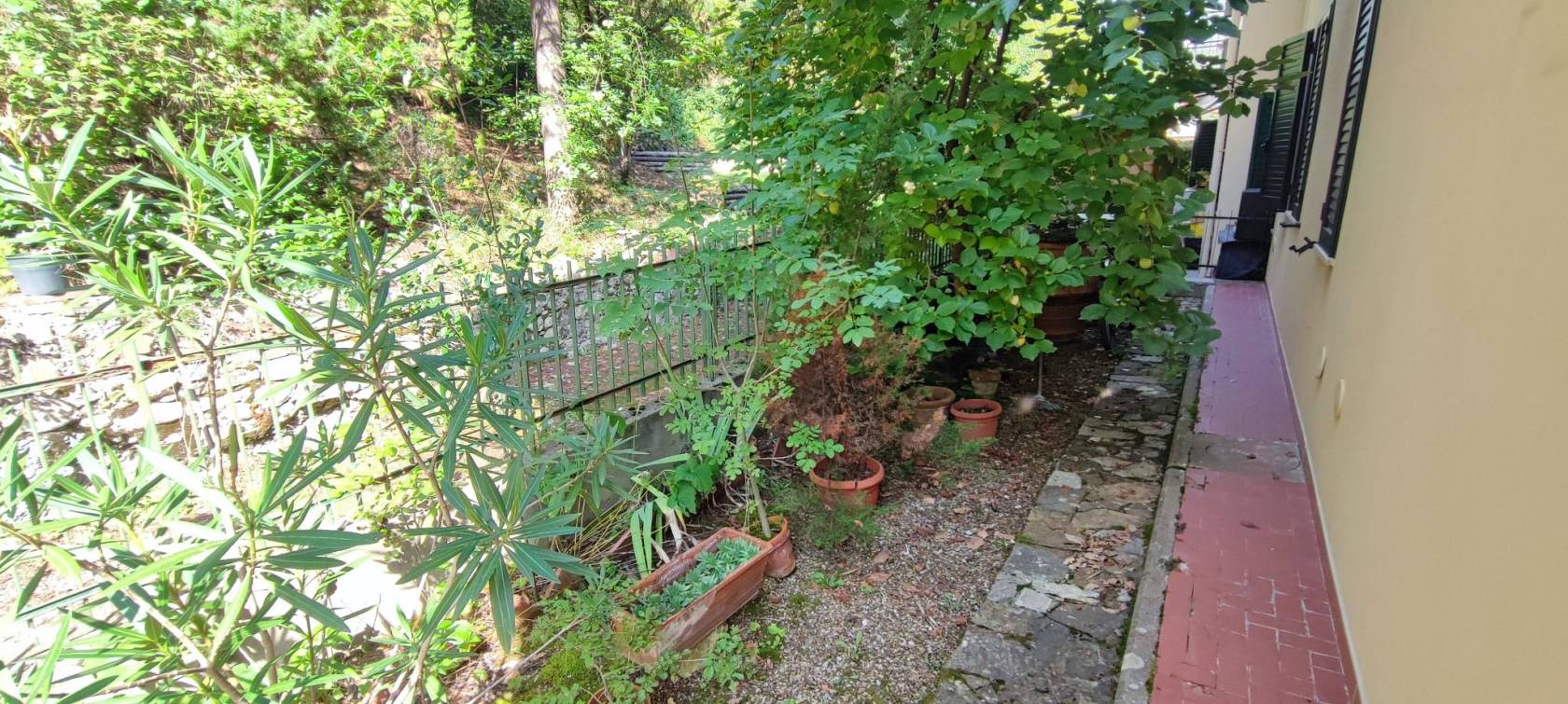 Giardino