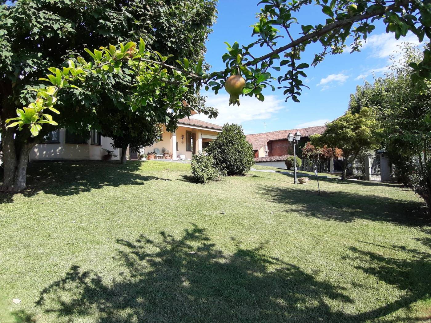 Giardino