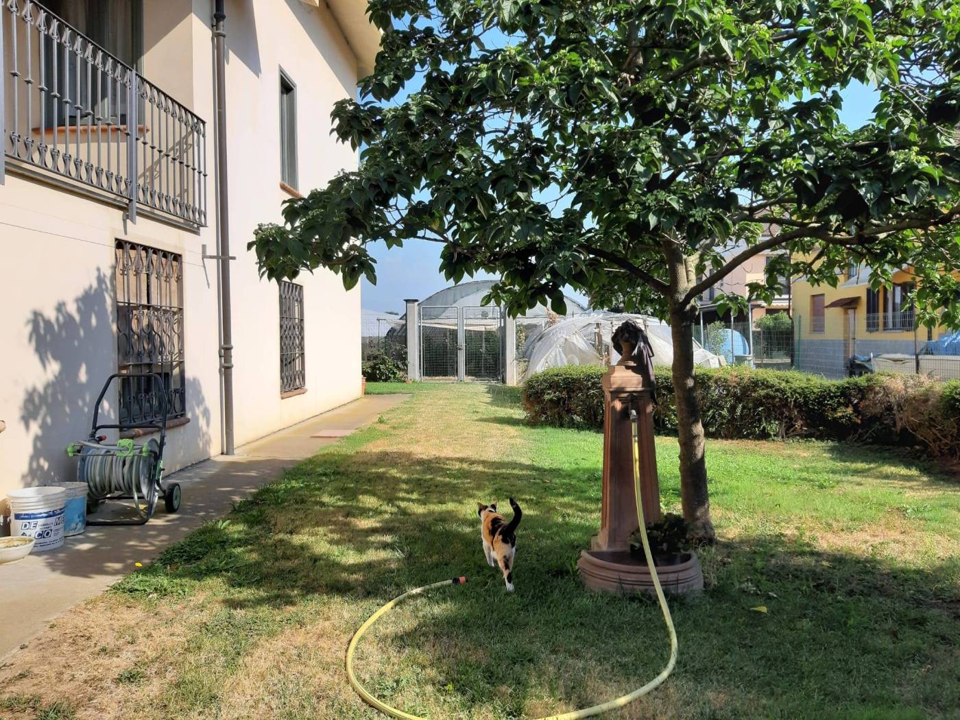 Giardino