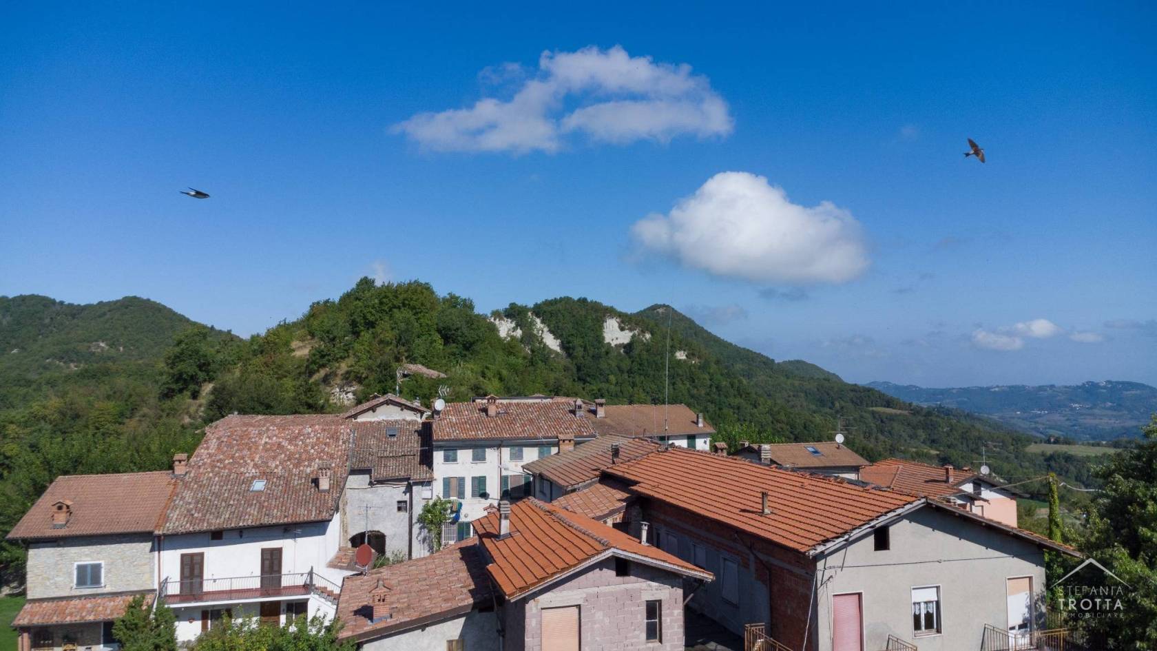 Vista