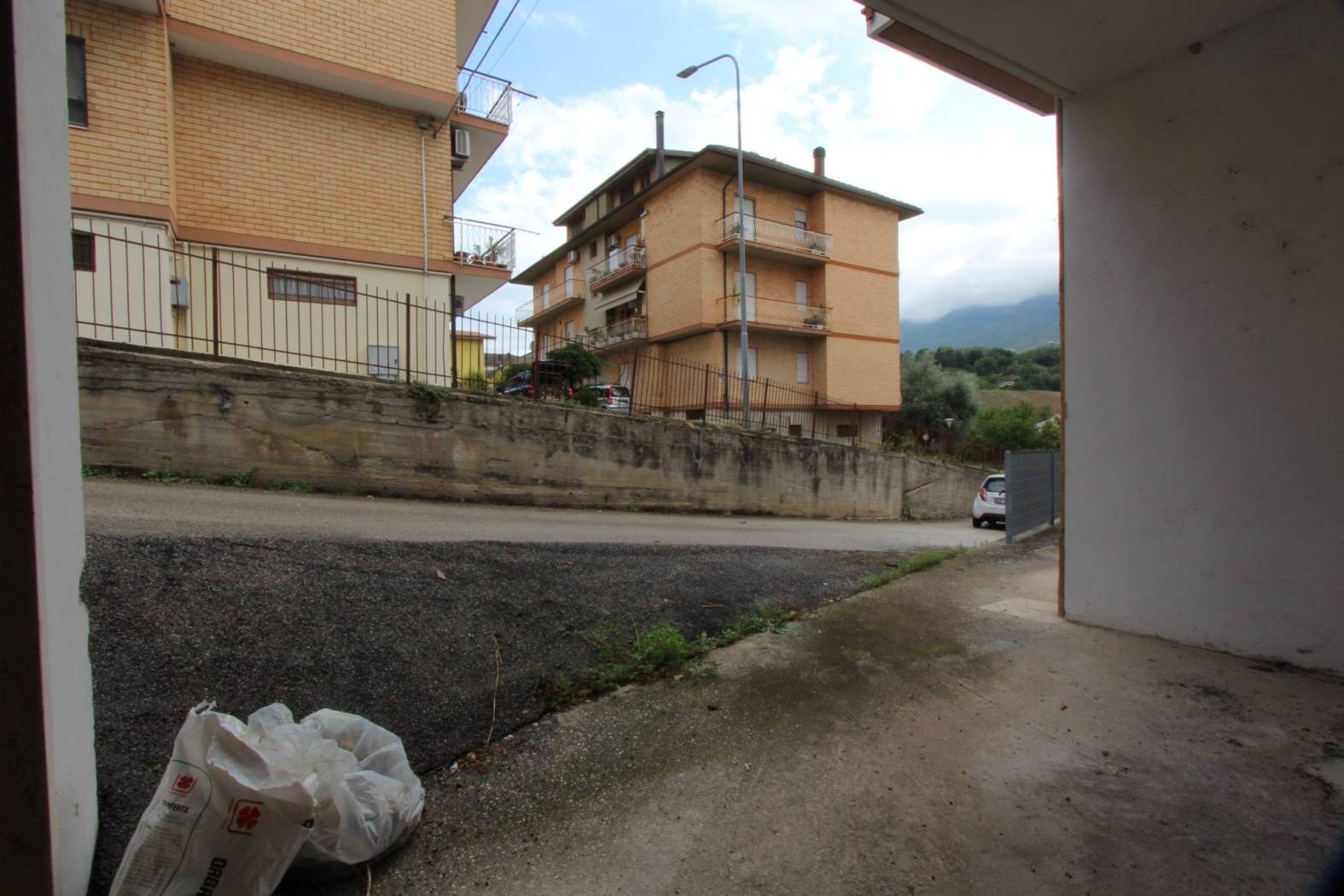 Zona