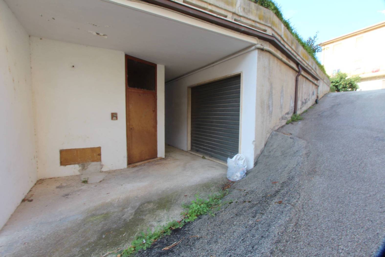 Ingresso