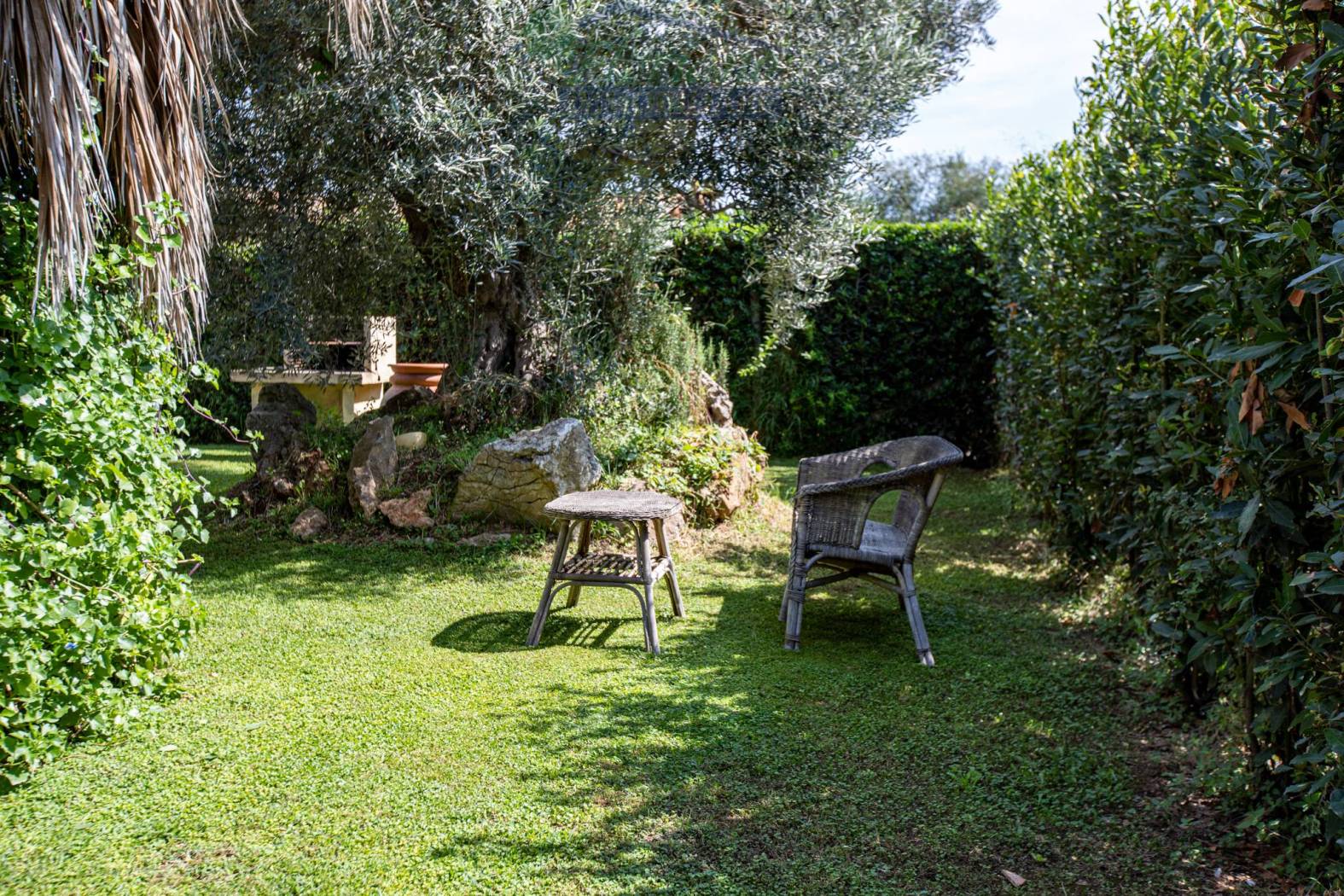 Giardino
