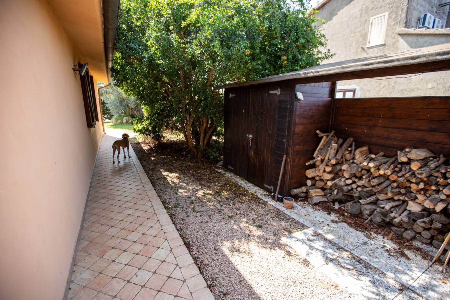 Giardino