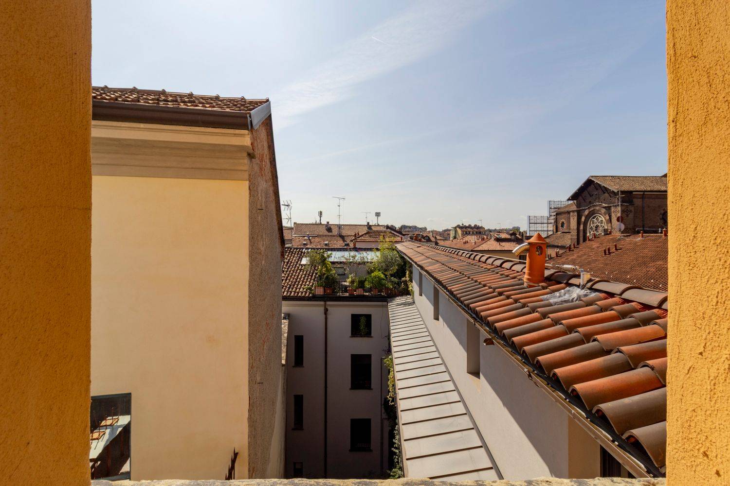 Vista
