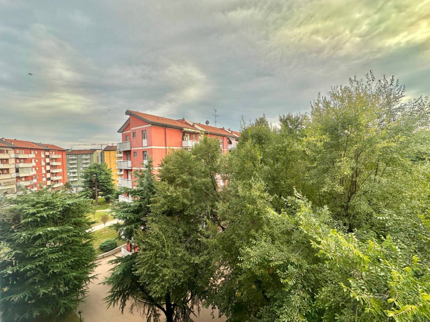 Vista